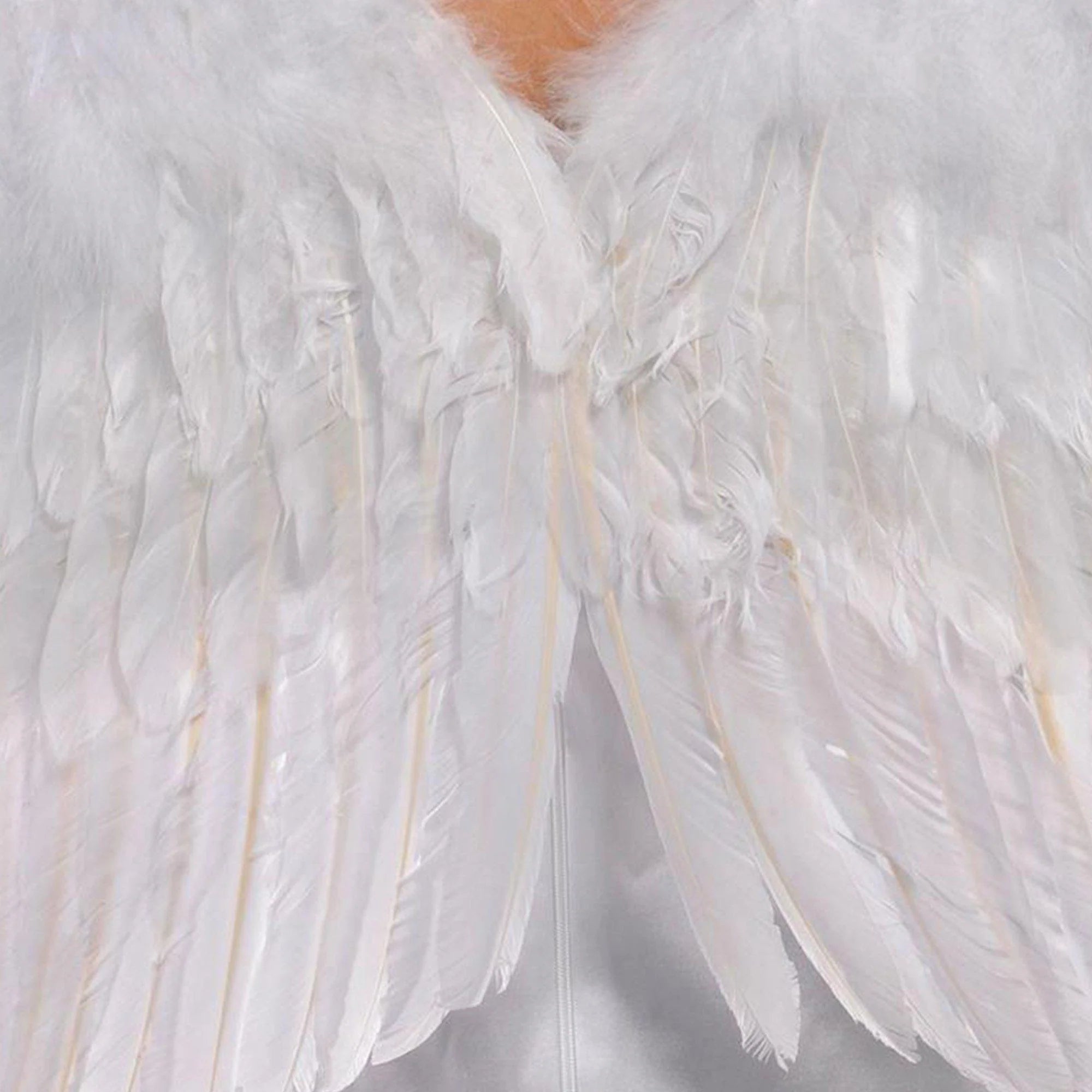 White Angel Wings