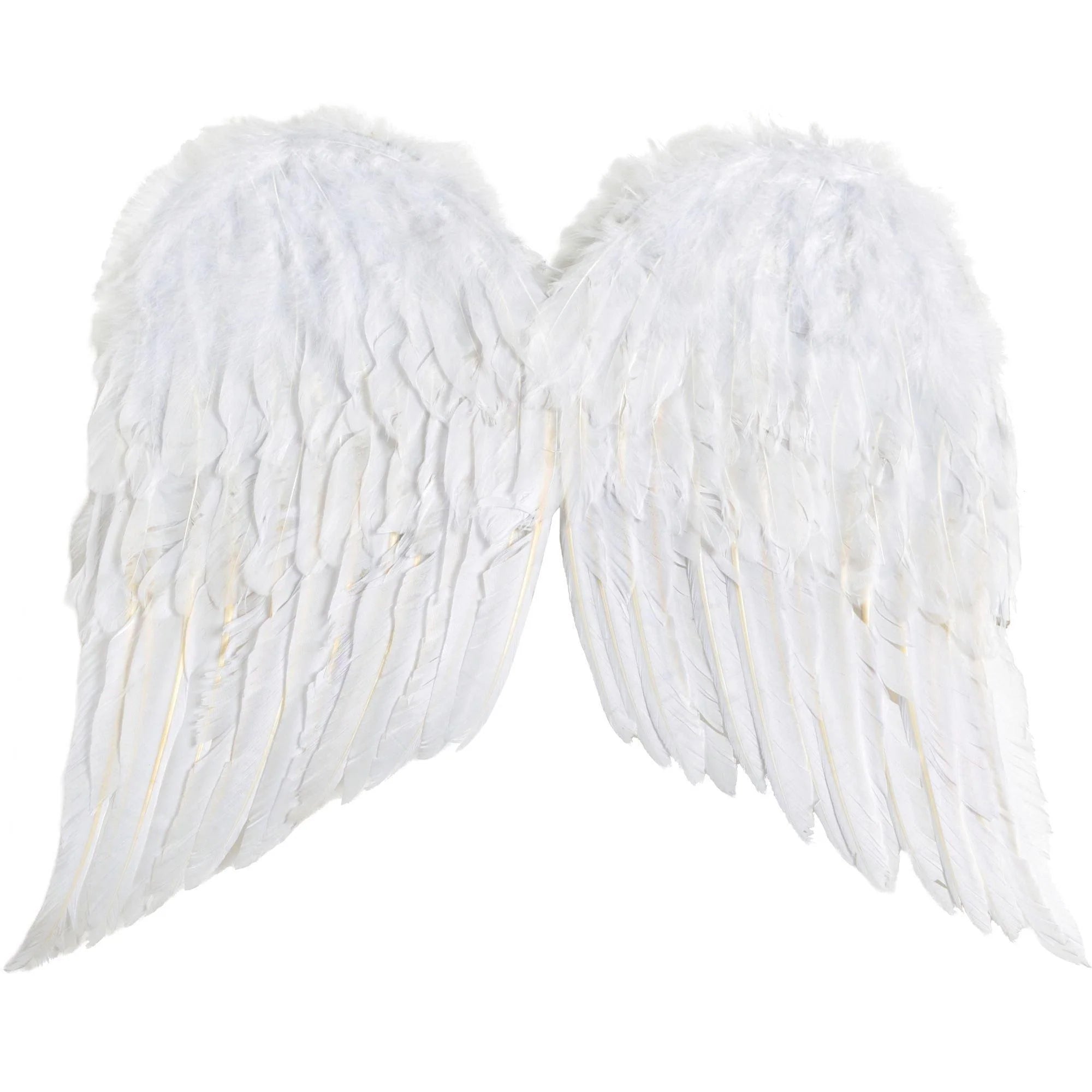 White Angel Wings